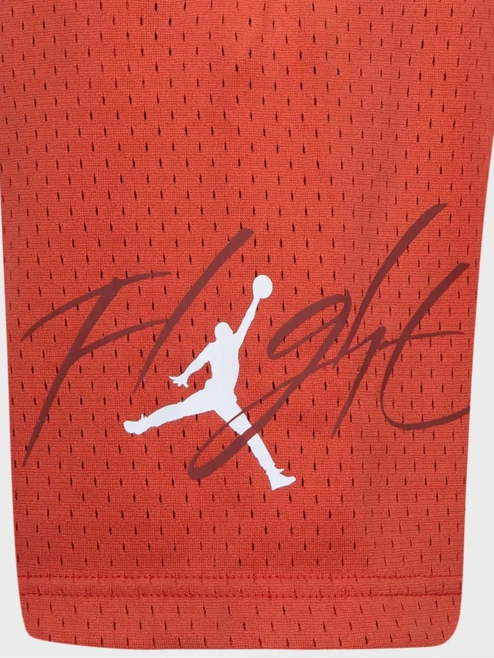 Jordan Off-Court Flight Shorts -Brand New With Tags